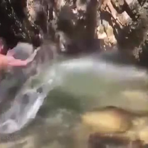 Video by bwc2022 published on March 21,2023 16:59:00 - BestThots