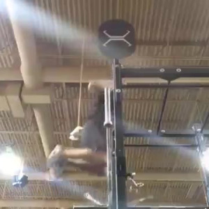 Video by bwc2022 published on April 24,2023 05:35:00 - BestThots