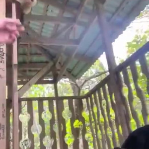 Video by bwc2022 published on April 15,2023 21:43:00 - BestThots
