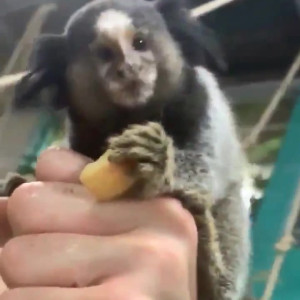 Video by bwc2022 published on March 31,2023 23:08:00 - BestThots