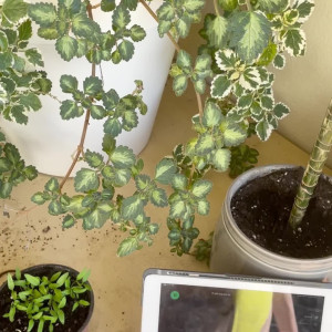 Video by sandralyd published on April 19,2023 21:40:00 - BestThots