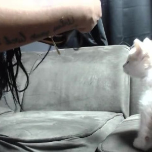 Video by creamyexotica published on April 11,2023 23:48:00 - BestThots
