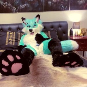 Video by thylasaur published on May 11,2023 07:15:00 - BestThots