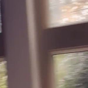 Video by elenagenevinne published on May 15,2023 17:00:00 - BestThots