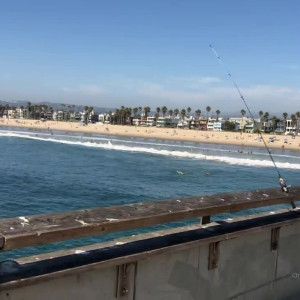 Video by tommygunnxxx published on August 28,2023 09:34:02 - BestThots