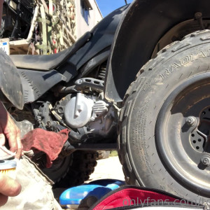 Video by tommygunnxxx published on August 28,2023 09:34:25 - BestThots