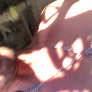 Video by tommygunnxxx published on August 28,2023 09:39:30 - BestThots