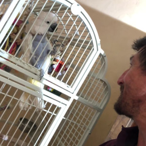 Video by tommygunnxxx published on August 28,2023 09:39:29 - BestThots