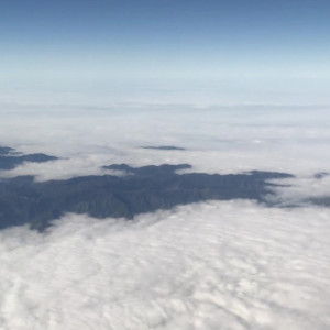 Video by tommygunnxxx published on August 28,2023 09:41:32 - BestThots