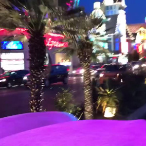 Video by tommygunnxxx published on August 28,2023 09:39:33 - BestThots