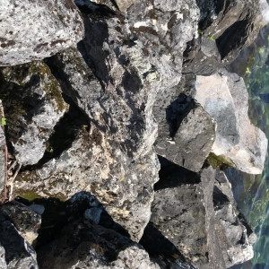 Video by tommygunnxxx published on August 28,2023 09:38:55 - BestThots