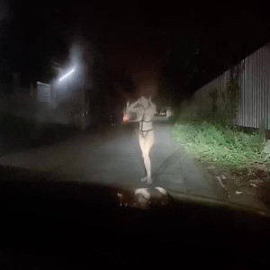 Video by muaymyb published on June 4,2023 12:26:00 - BestThots