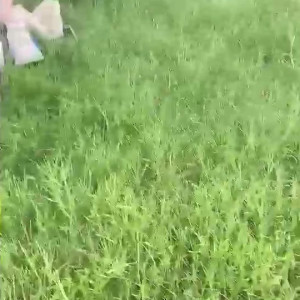 Video by muaymyb published on July 1,2023 12:16:00 - BestThots