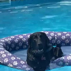 Video by milaharperxoxo published on July 7,2023 05:33:00 - BestThots