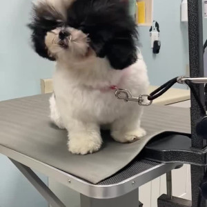 Video by ellerayxo published on March 18,2023 19:25:00 - BestThots