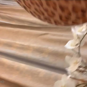 Video by teresaqueen published on April 16,2023 23:55:00 - BestThots