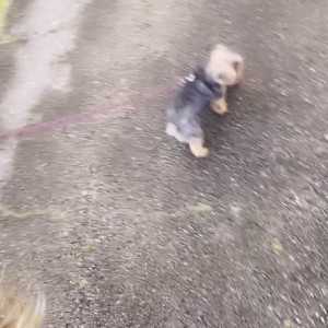 Video by the_anita_dark published on April 7,2023 14:26:00 - BestThots