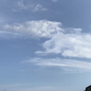 Video by the_anita_dark published on April 20,2023 19:52:00 - BestThots