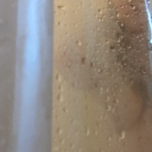 Video by sincerelysarahtrickler published on March 25,2023 23:32:00 - BestThots