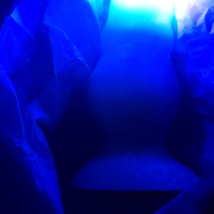 Video by sincerelysarahtrickler published on April 2,2023 11:52:00 - BestThots