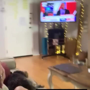 Video by caitlynswayfree published on July 3,2023 15:37:00 - BestThots