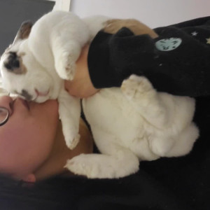 Video by peachkissx published on May 8,2023 10:19:00 - BestThots