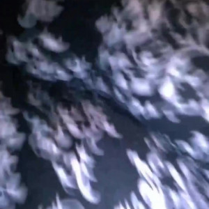 Video by dollybubbles12 published on January 12,2024 08:14:15 - BestThots