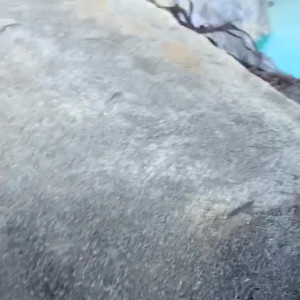 Video by myonlinegirl published on May 23,2023 20:26:00 - BestThots