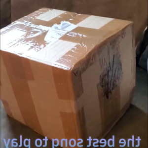 msgapepussy #4254263