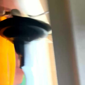 Video by justomi published on May 22,2023 15:30:00 - BestThots