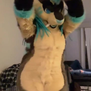 saberthot #5240141