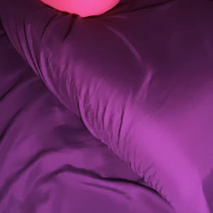 mrbengaofficial #3695409