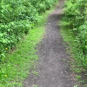 Video by cutegiraffe published on January 10,2024 13:30:55 - BestThots