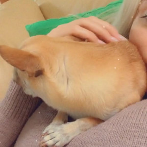 Video by alliseasydney published on November 20,2023 22:28:56 - BestThots