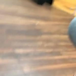 alliseasydney #8424425