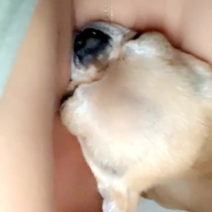 Video by alliseasydney published on November 20,2023 22:31:05 - BestThots