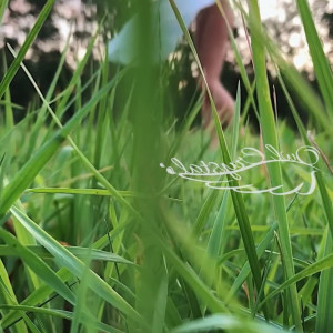 Video by owlcrystal published on March 21,2023 11:26:00 - BestThots