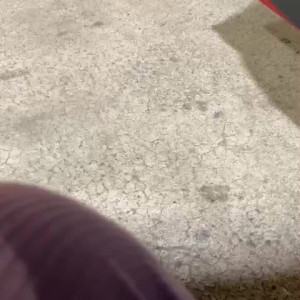 Video by msvirgoperidot published on July 16,2023 17:27:00 - BestThots