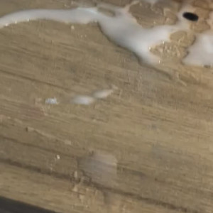 shaycrazychic #3696978