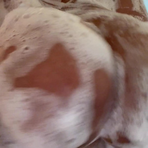 Video by shaycrazychic published on October 16,2023 01:50:32 - BestThots