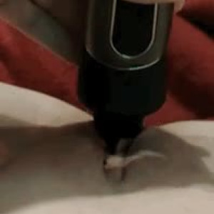 onlyfansuomi #3697543