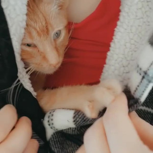 Video by runesy published on July 12,2023 04:02:00 - BestThots