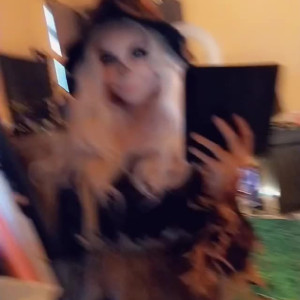 Video by runesy published on April 7,2023 21:10:00 - BestThots