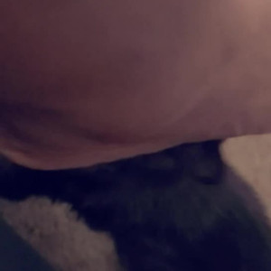 Video by thebeejayshow published on March 18,2023 07:12:00 - BestThots