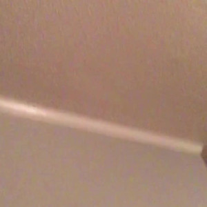 Video by beefbeast published on April 24,2023 05:55:00 - BestThots