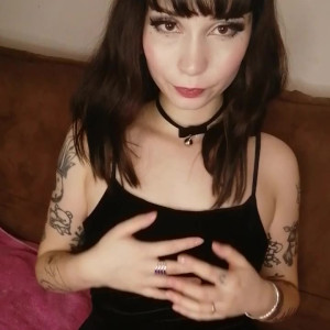 gatahidraulica #4310689