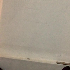Video by gatahidraulica published on April 21,2023 18:28:00 - BestThots