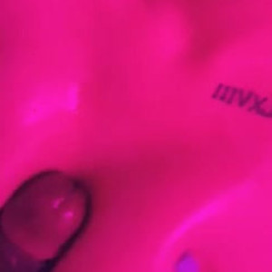 xlaurice #5494499
