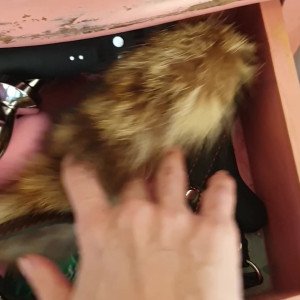 Video by sandratorralba published on March 29,2023 03:58:00 - BestThots