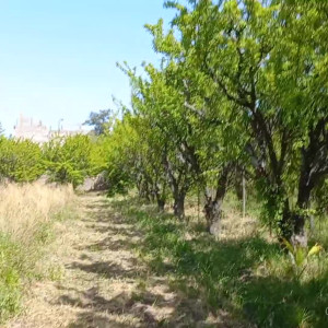 Video by mewslut published on August 16,2023 11:47:04 - BestThots